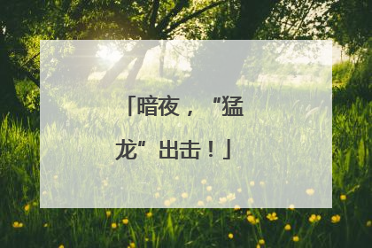 暗夜，“猛龙”出击！