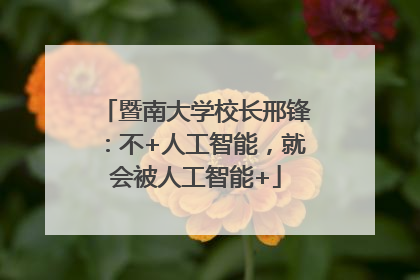 暨南大学校长邢锋：不+人工智能，就会被人工智能+