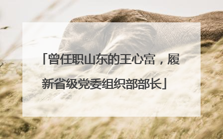 曾任职山东的王心富，履新省级党委组织部部长