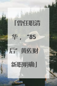 曾任职清华，“85后”黄佐财新职明确