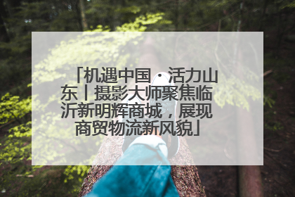 机遇中国・活力山东丨摄影大师聚焦临沂新明辉商城，展现商贸物流新风貌