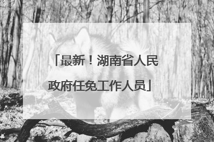 最新！湖南省人民政府任免工作人员