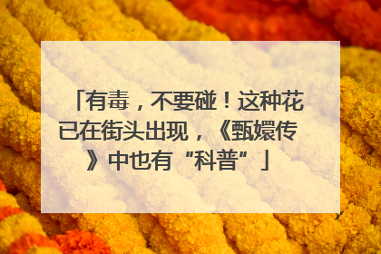有毒，不要碰！这种花已在街头出现，《甄嬛传》中也有“科普”