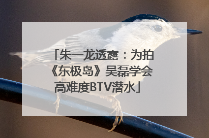 朱一龙透露：为拍《东极岛》吴磊学会高难度BTV潜水