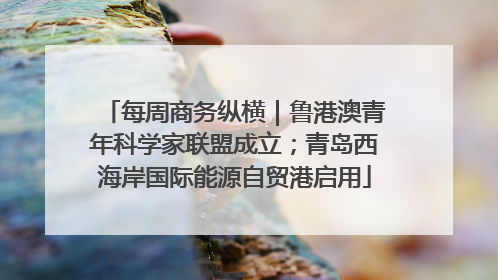 每周商务纵横｜鲁港澳青年科学家联盟成立；青岛西海岸国际能源自贸港启用