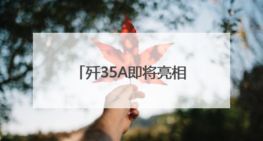 歼35A即将亮相巴黎航展，中航工业沈阳所首席专家王永庆接受《环球时报》专访：未来数量可以有很多