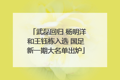 武磊回归 杨明洋和王钰栋入选 国足新一期大名单出炉