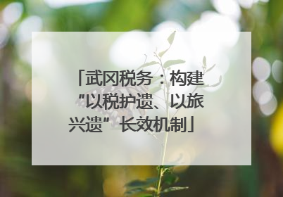 武冈税务：构建“以税护遗、以旅兴遗”长效机制