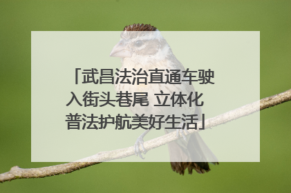 武昌法治直通车驶入街头巷尾 立体化普法护航美好生活