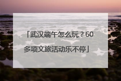 武汉端午怎么玩？60多项文旅活动乐不停