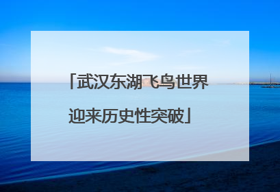 武汉东湖飞鸟世界迎来历史性突破