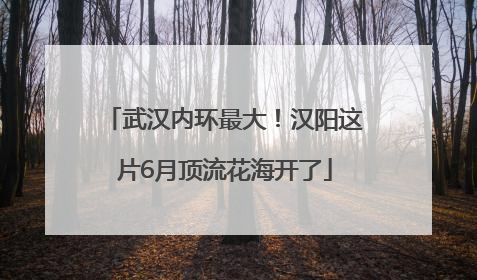 武汉内环最大！汉阳这片6月顶流花海开了