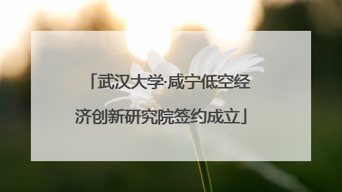武汉大学·咸宁低空经济创新研究院签约成立