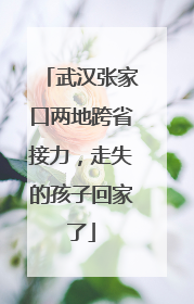武汉张家口两地跨省接力，走失的孩子回家了