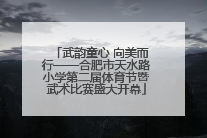 武韵童心 向美而行——合肥市天水路小学第二届体育节暨武术比赛盛大开幕