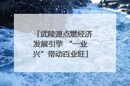 武陵源点燃经济发展引擎 “一业兴”带动百业旺