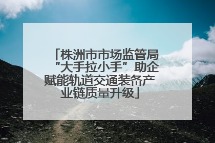 株洲市市场监管局“大手拉小手”助企赋能轨道交通装备产业链质量升级