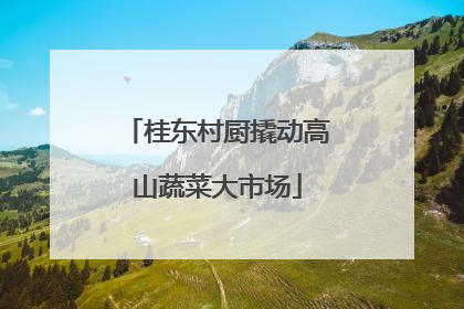 桂东村厨撬动高山蔬菜大市场