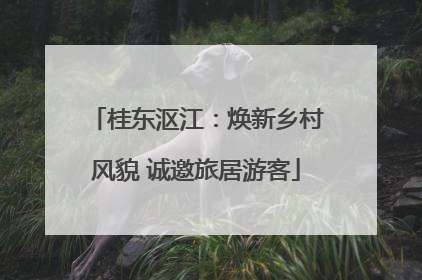 桂东沤江：焕新乡村风貌 诚邀旅居游客