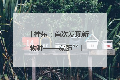 桂东：首次发现新物种——宽距兰