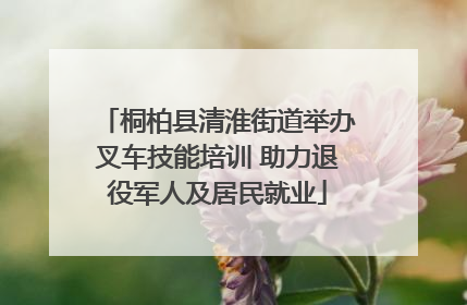 桐柏县清淮街道举办叉车技能培训 助力退役军人及居民就业