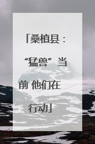 桑植县：“猛兽”当前 他们在行动