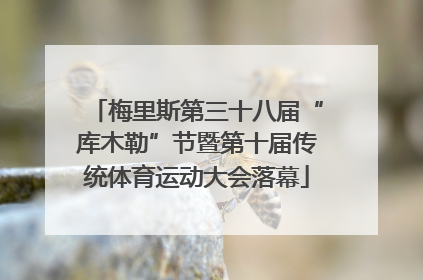 梅里斯第三十八届“库木勒”节暨第十届传统体育运动大会落幕