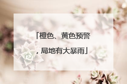 橙色、黄色预警，局地有大暴雨