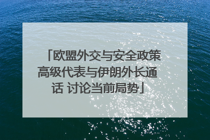 欧盟外交与安全政策高级代表与伊朗外长通话 讨论当前局势