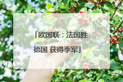 欧国联：法国胜德国 获得季军