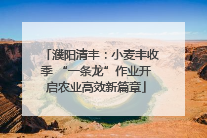 濮阳清丰：小麦丰收季 “一条龙”作业开启农业高效新篇章
