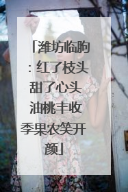 潍坊临朐：红了枝头 甜了心头 油桃丰收季果农笑开颜