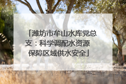 潍坊市牟山水库党总支：科学调配水资源 保障区域供水安全