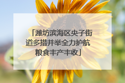 潍坊滨海区央子街道多措并举全力护航粮食丰产丰收
