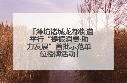 潍坊诸城龙都街道举行“提振消费·助力发展”首批示范单位授牌活动