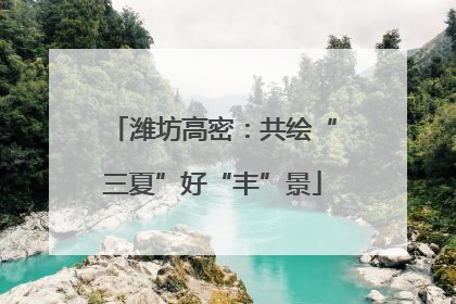 潍坊高密：共绘“三夏”好“丰”景