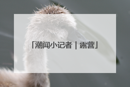 潮闻小记者｜露营