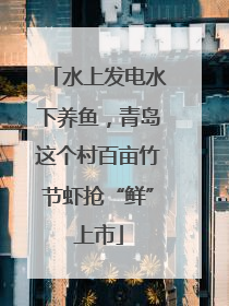 水上发电水下养鱼，青岛这个村百亩竹节虾抢“鲜”上市