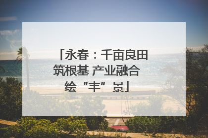 永春：千亩良田筑根基 产业融合绘“丰”景
