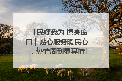民呼我为 擦亮窗口｜贴心服务暖民心，热情周到显真情
