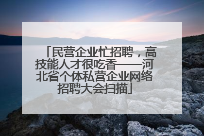 民营企业忙招聘，高技能人才很吃香——河北省个体私营企业网络招聘大会扫描