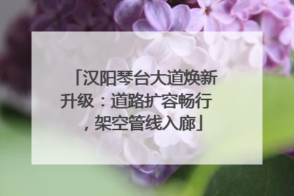 汉阳琴台大道焕新升级：道路扩容畅行，架空管线入廊