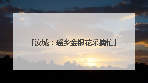 汝城：瑶乡金银花采摘忙