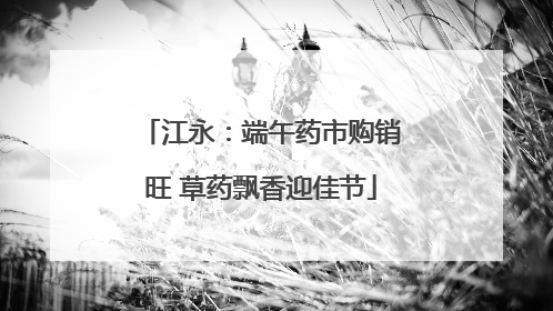 江永：端午药市购销旺 草药飘香迎佳节