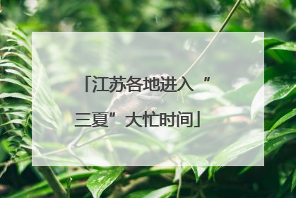 江苏各地进入“三夏”大忙时间