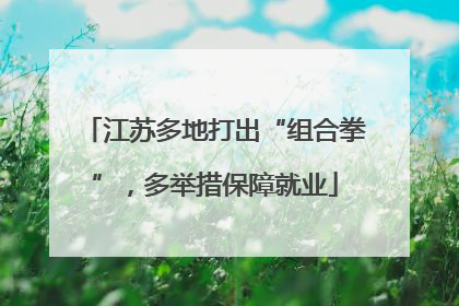 江苏多地打出“组合拳”，多举措保障就业
