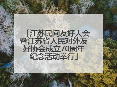 江苏民间友好大会暨江苏省人民对外友好协会成立70周年纪念活动举行