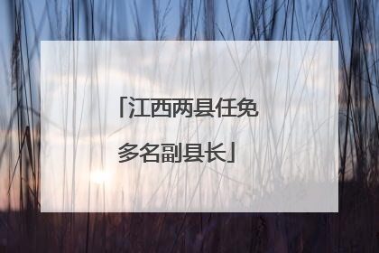 江西两县任免多名副县长