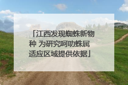 江西发现蜘蛛新物种 为研究呵叻蛛属适应区域提供依据
