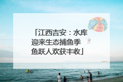 江西吉安：水库迎来生态捕鱼季 鱼跃人欢获丰收